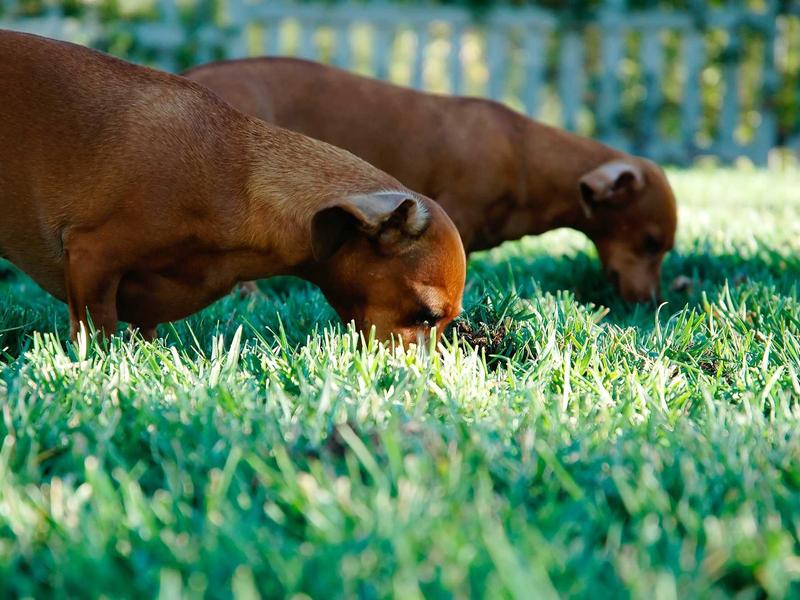 sudoku grid completion screenshot 4