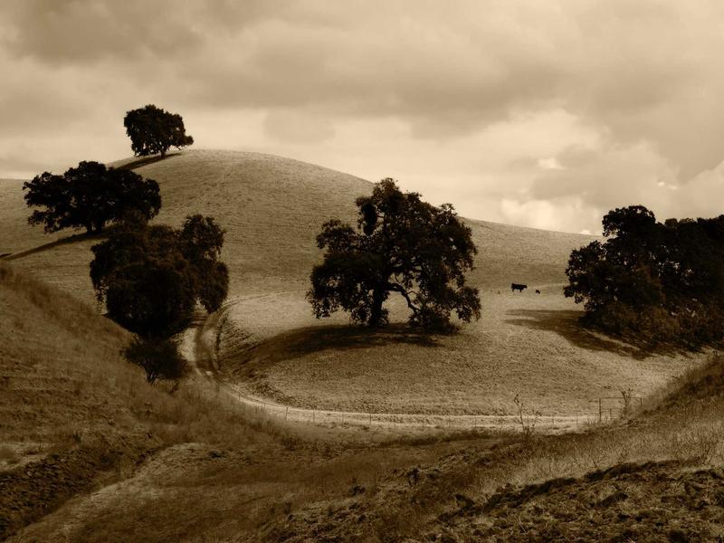 sudoku master screenshot 1