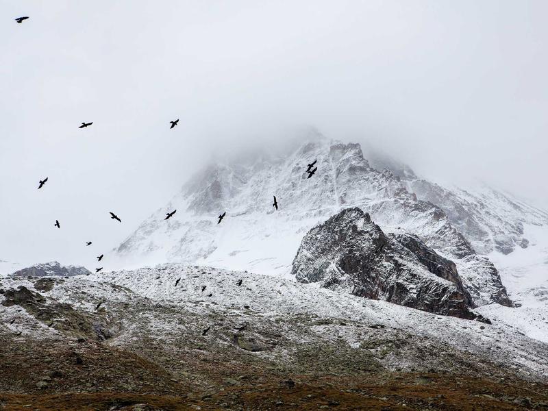 sudoku tournament screenshot 3